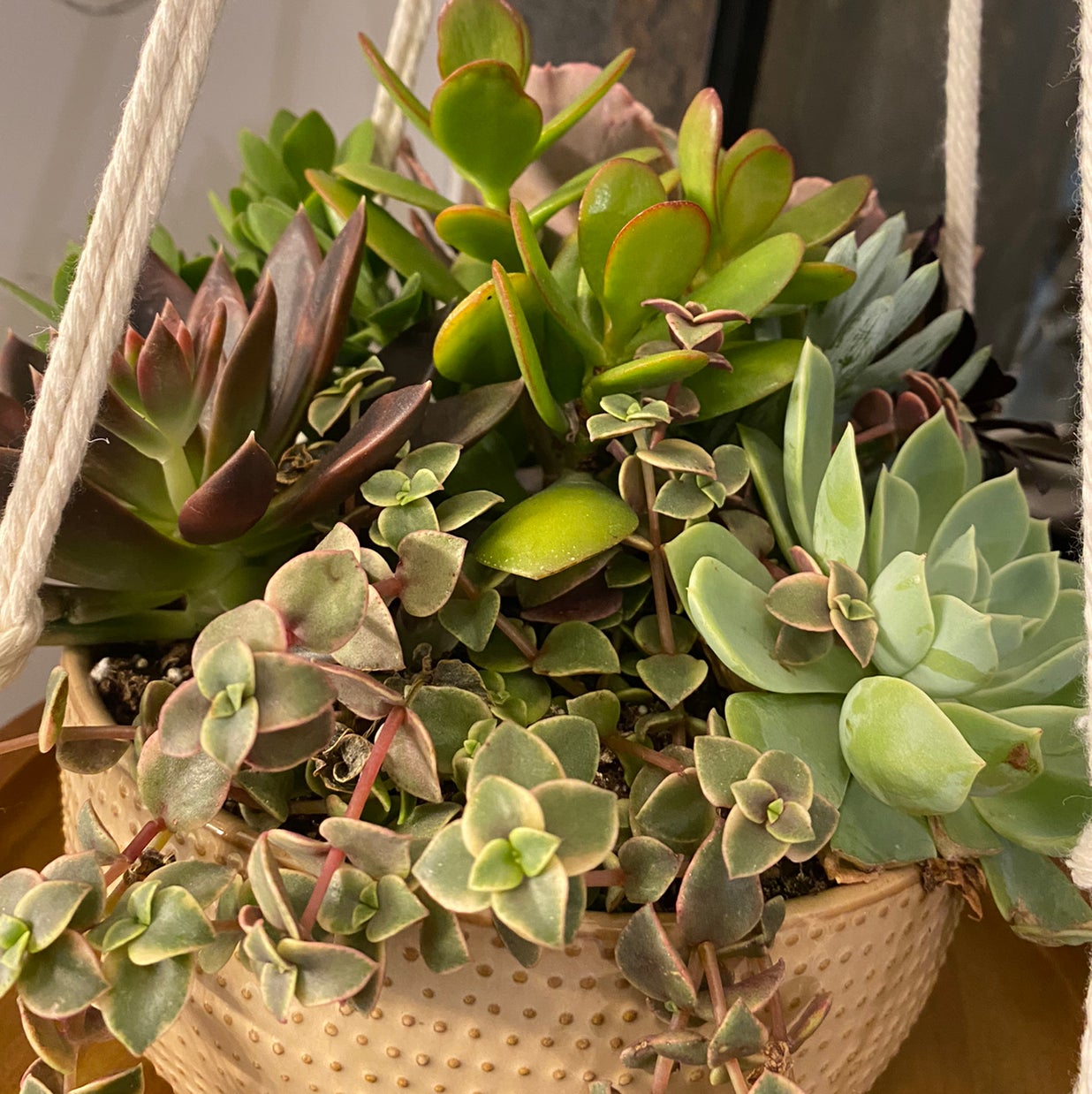 @Rockys_peace22 avatar