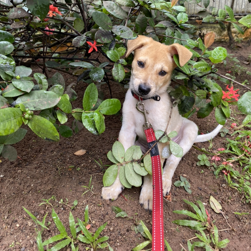 Avatar for @dhecloud on Greg, the plant care app