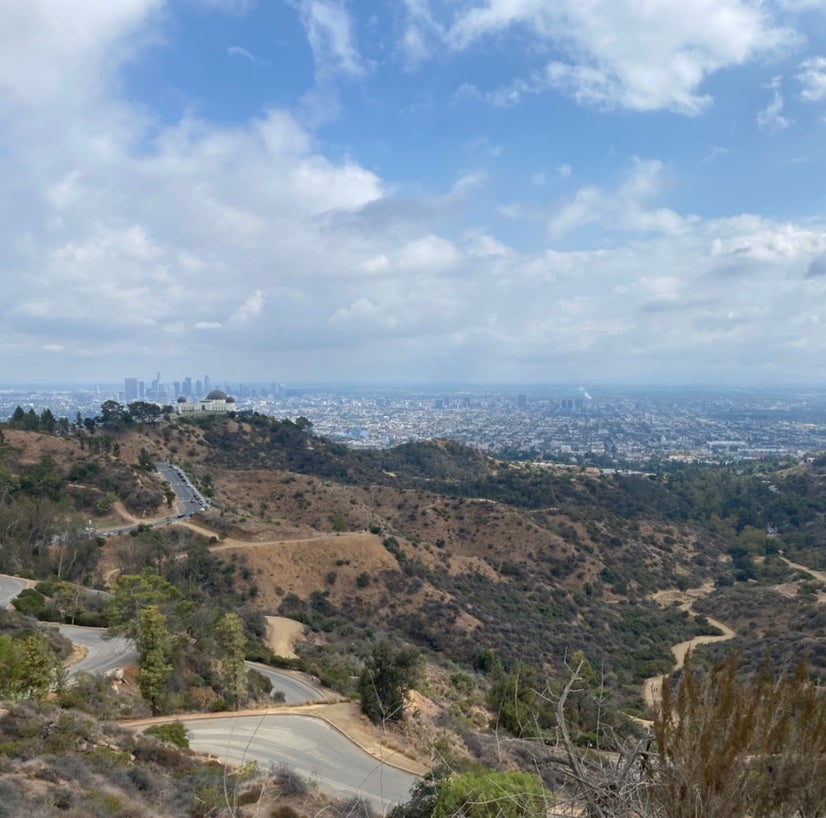 Avatar for @yoonsw15 on Greg, the plant care app