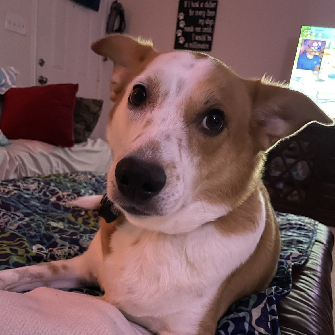 Avatar for @Heatherb on Greg, the plant care app