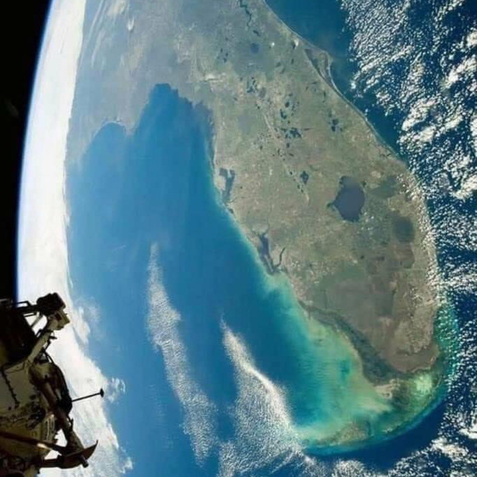 Avatar for Condomango on Greg, the plant care app