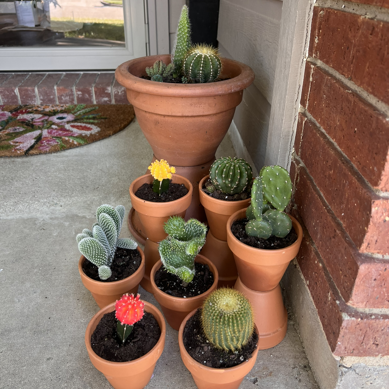 @HappyLilCactus