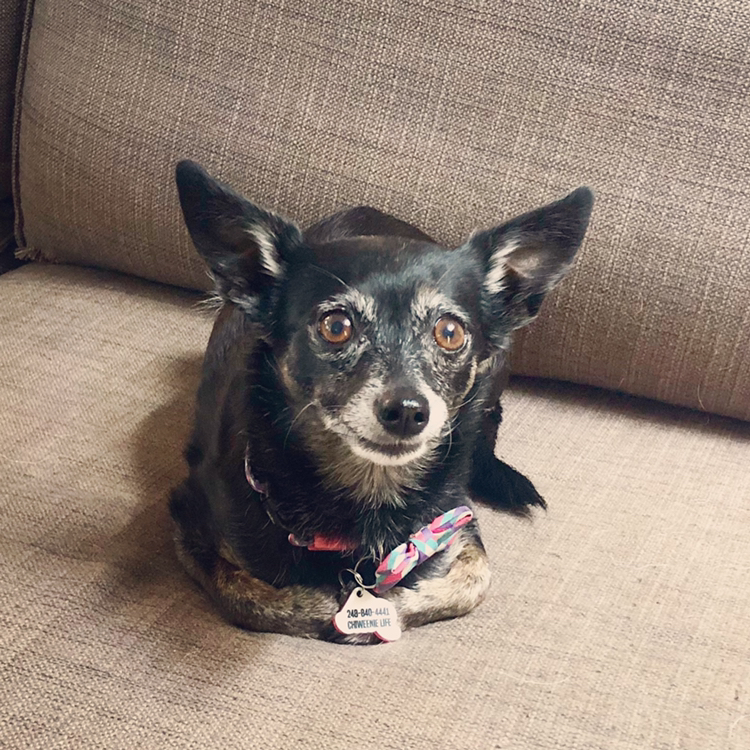 @fluffyruffles avatar