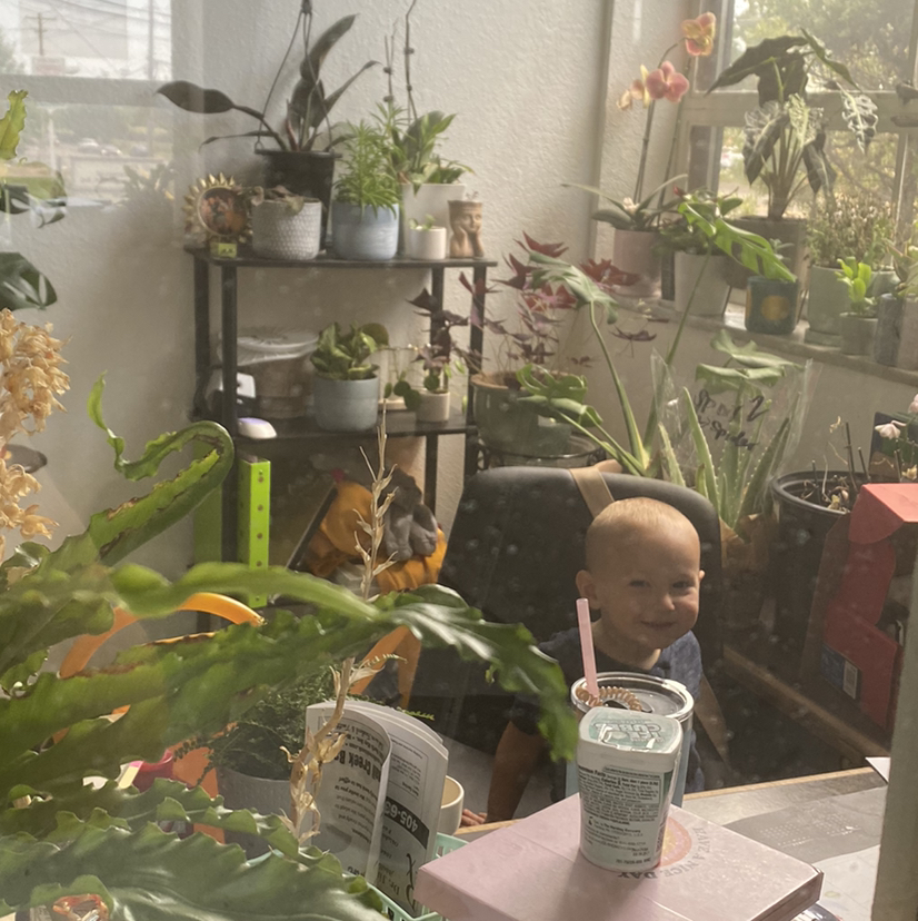 Avatar for @karlybug on Greg, the plant care app