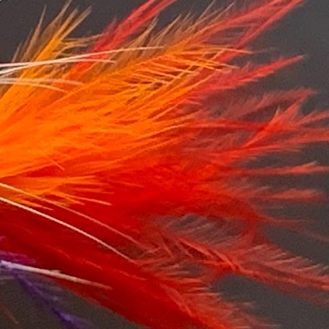 Avatar for @Kristalee on Greg, the plant care app