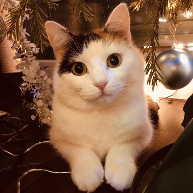 Avatar for @ela on Greg, the plant care app