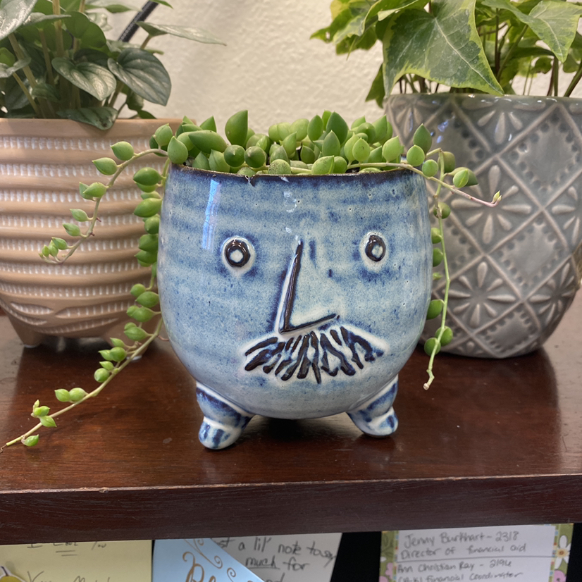 Avatar for @Hayleeeee on Greg, the plant care app