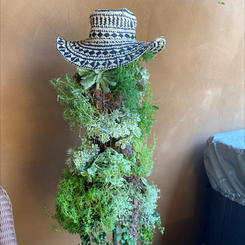 Avatar for @UberOleander on Greg, the plant care app