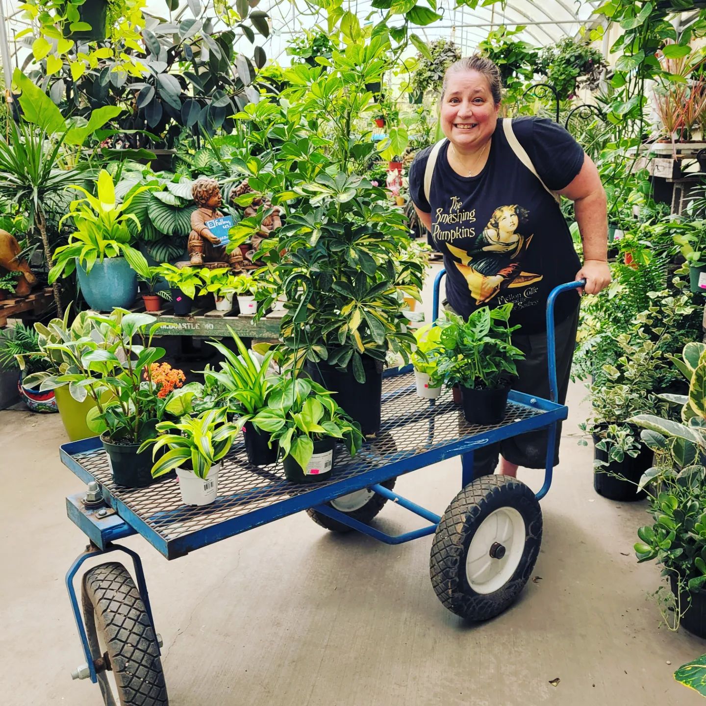 Avatar for @bethapalooza on Greg, the plant care app