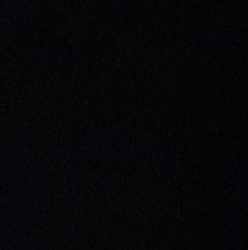 Avatar for @Ilovepickles on Greg, the plant care app