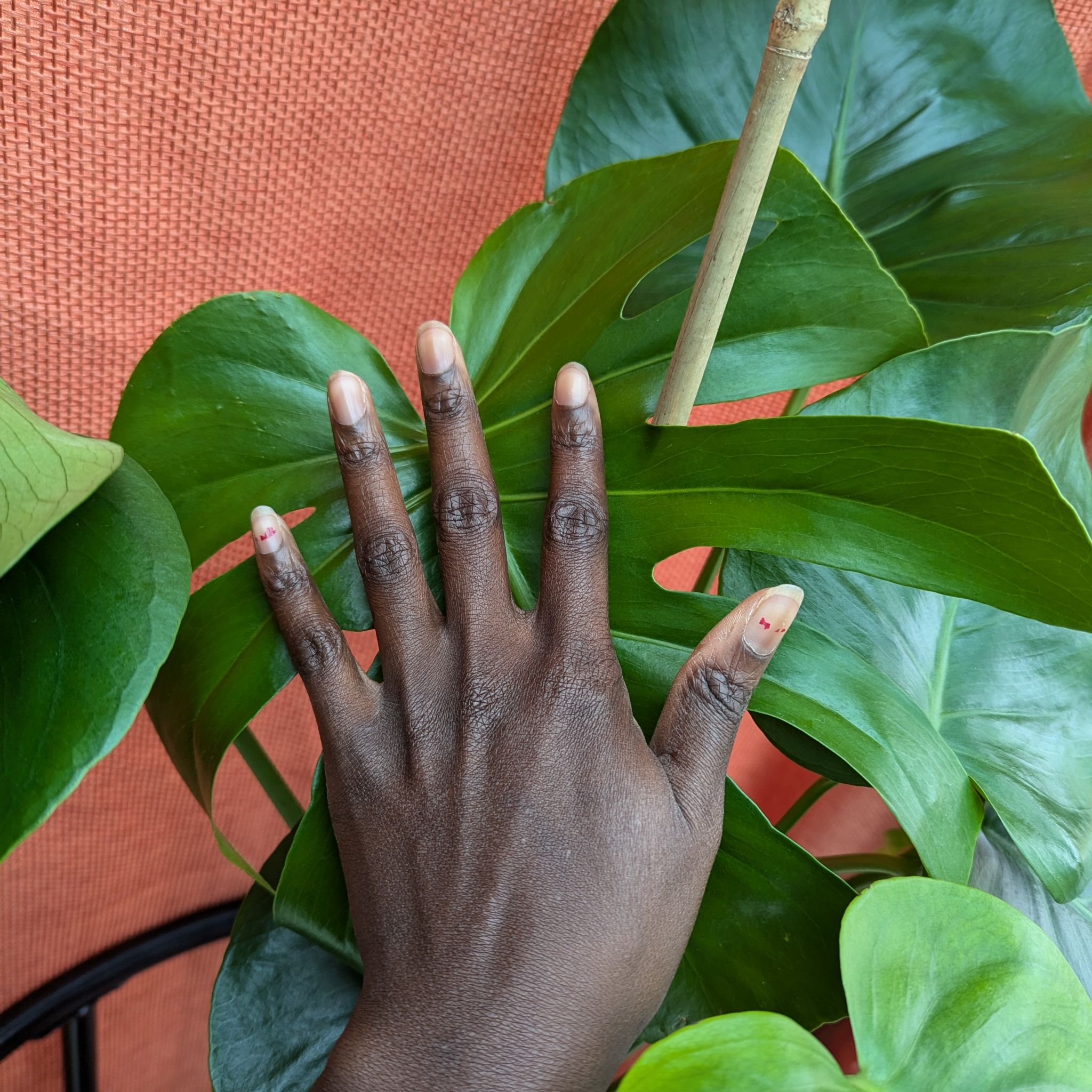 @agojiemilaje avatar