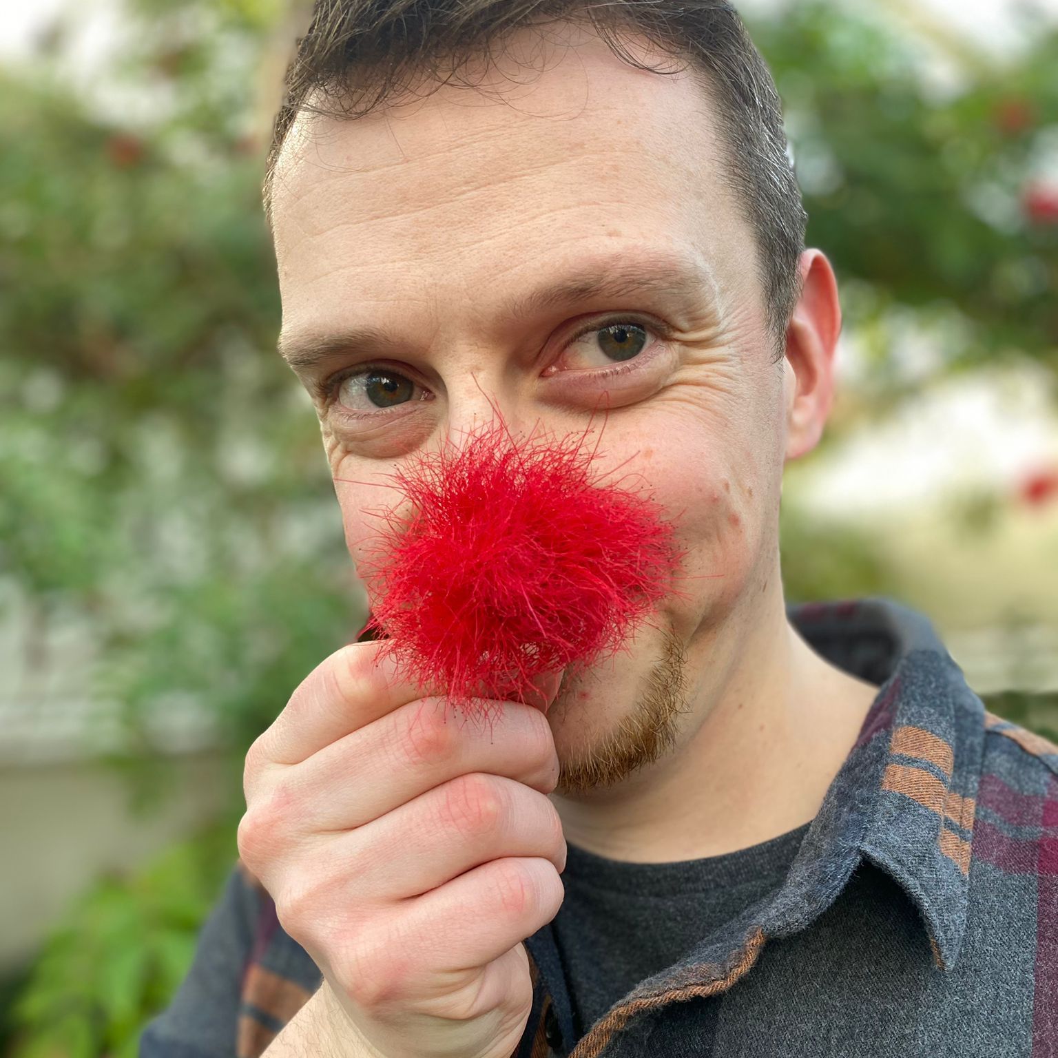 Avatar for @timh on Greg, the plant care app