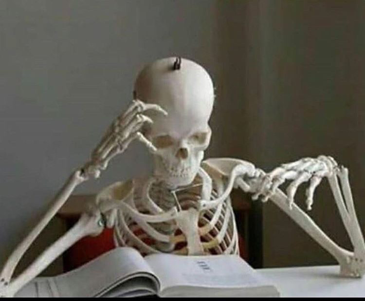 Avatar for @adama.daou on Greg, the plant care app