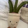 Personwithplant avatar