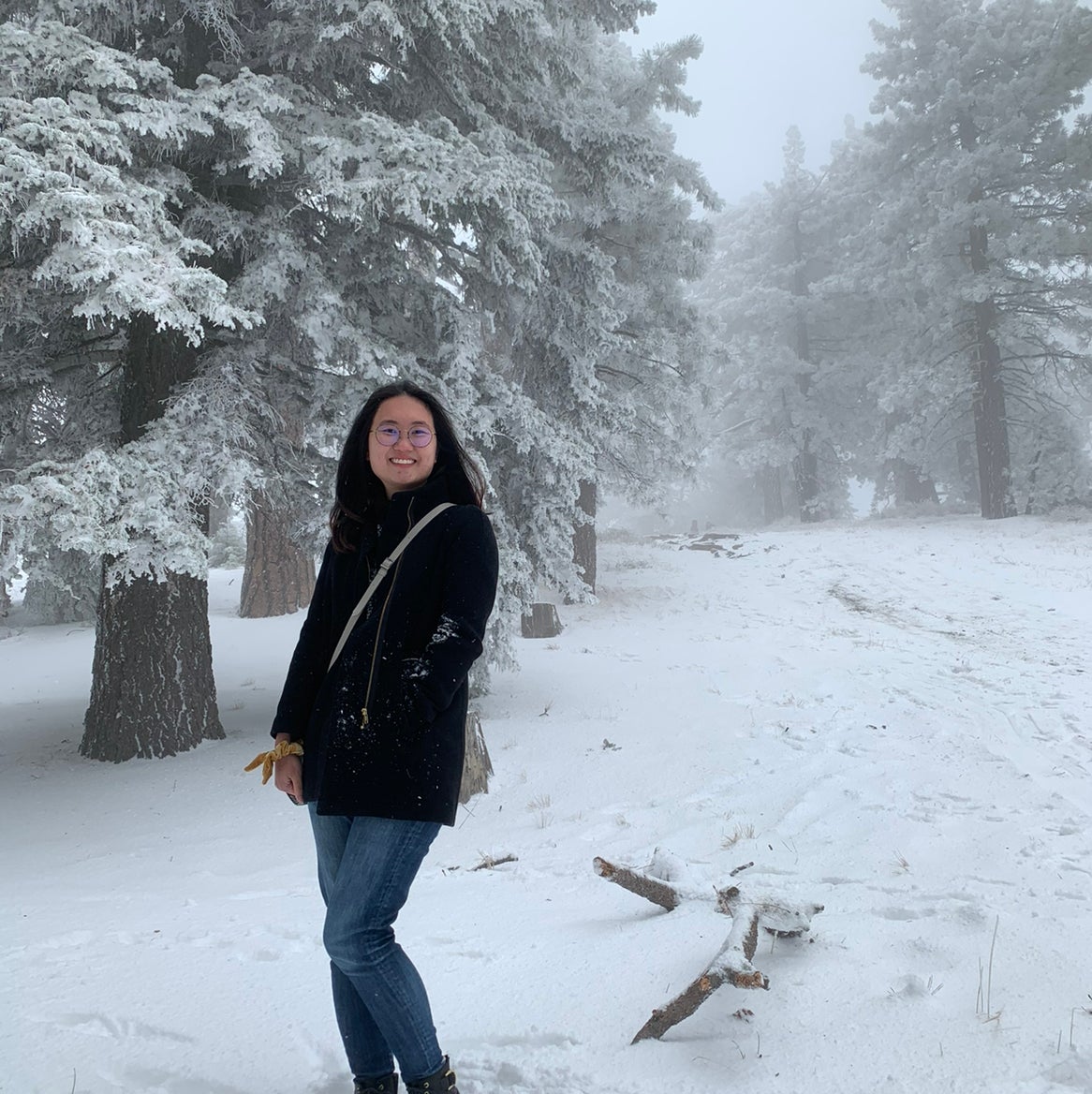 Avatar for @joce on Greg, the plant care app