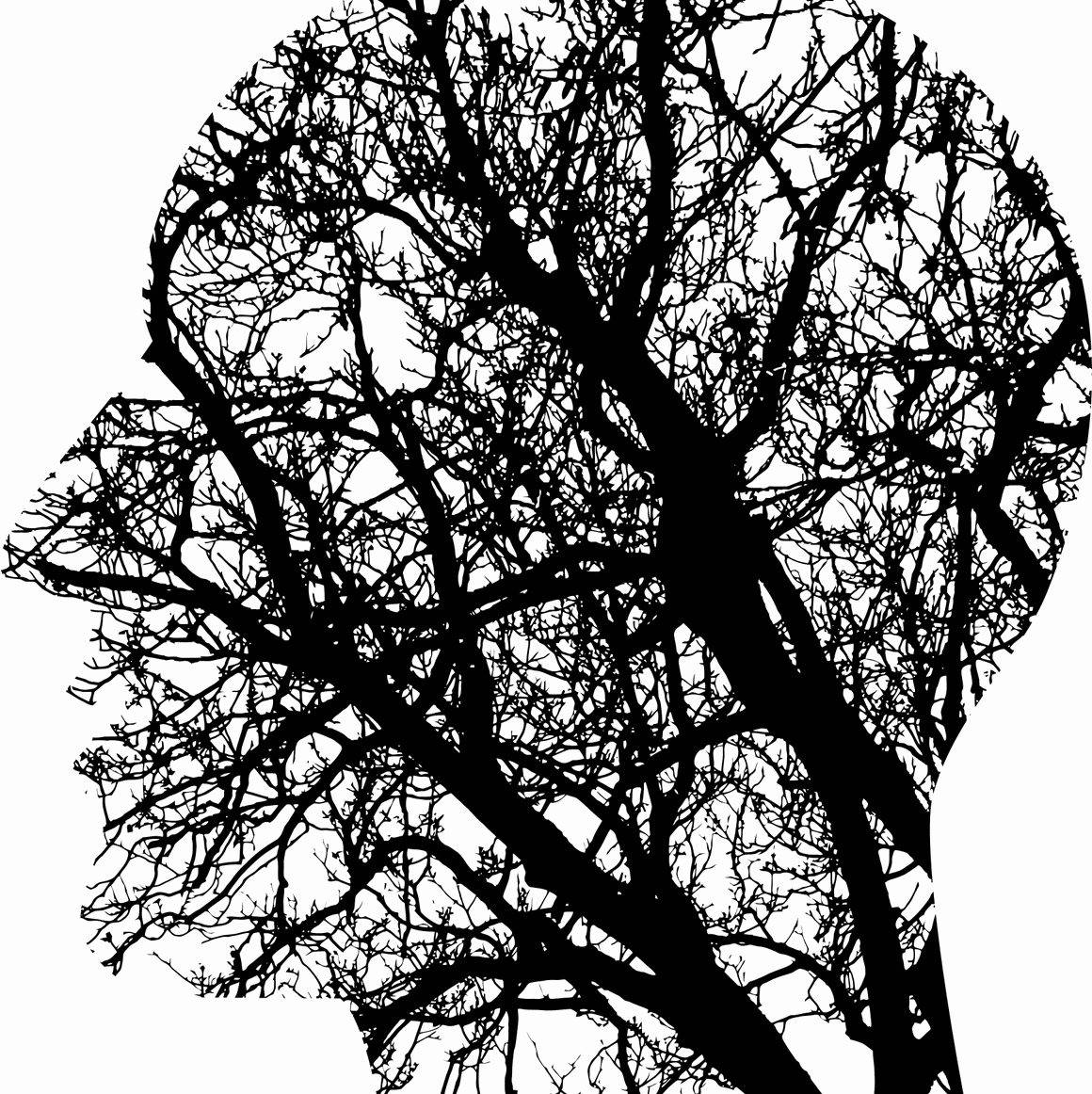 Avatar for @Shannonmei on Greg, the plant care app