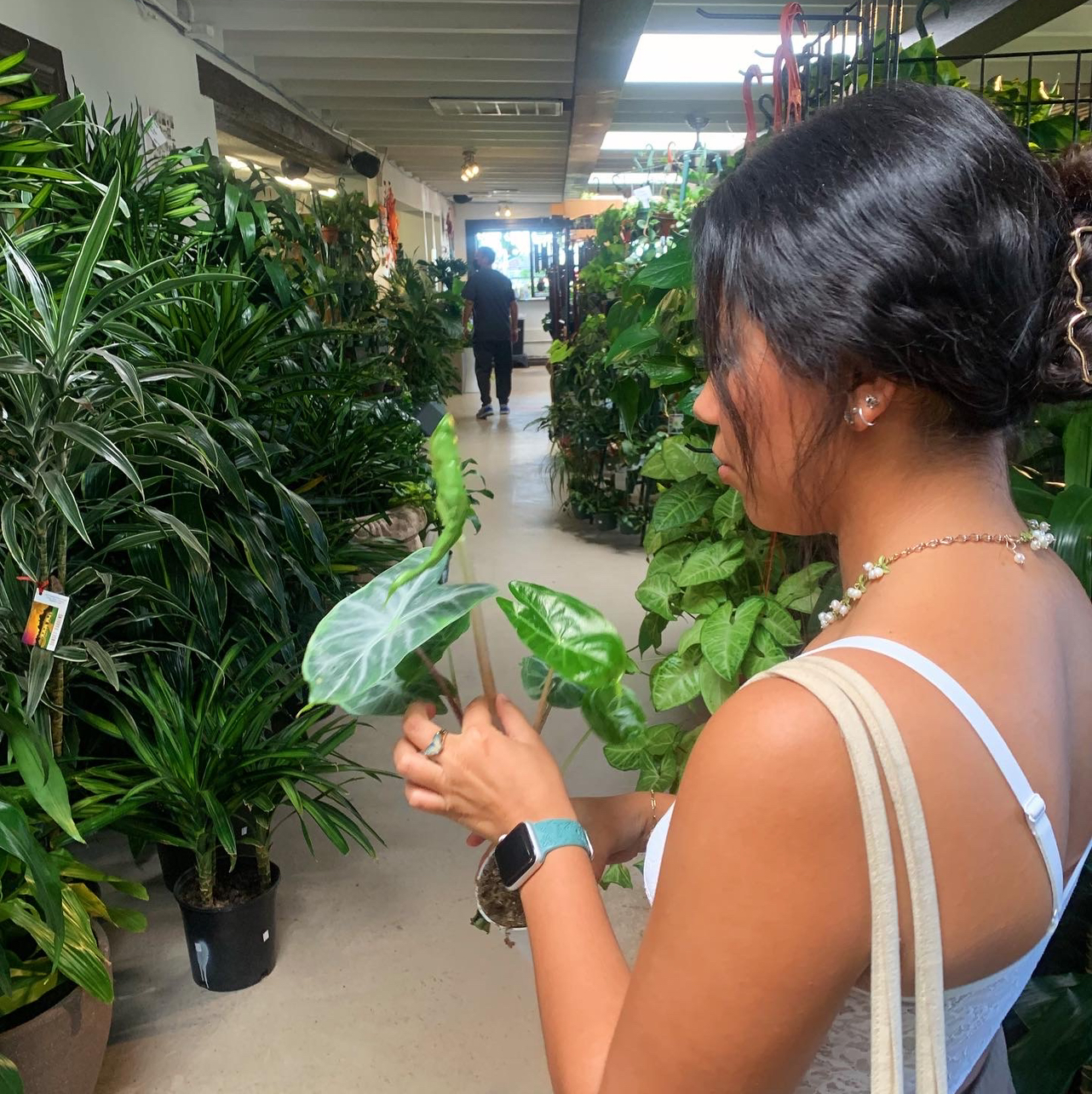 Avatar for @danluvsplants on Greg, the plant care app