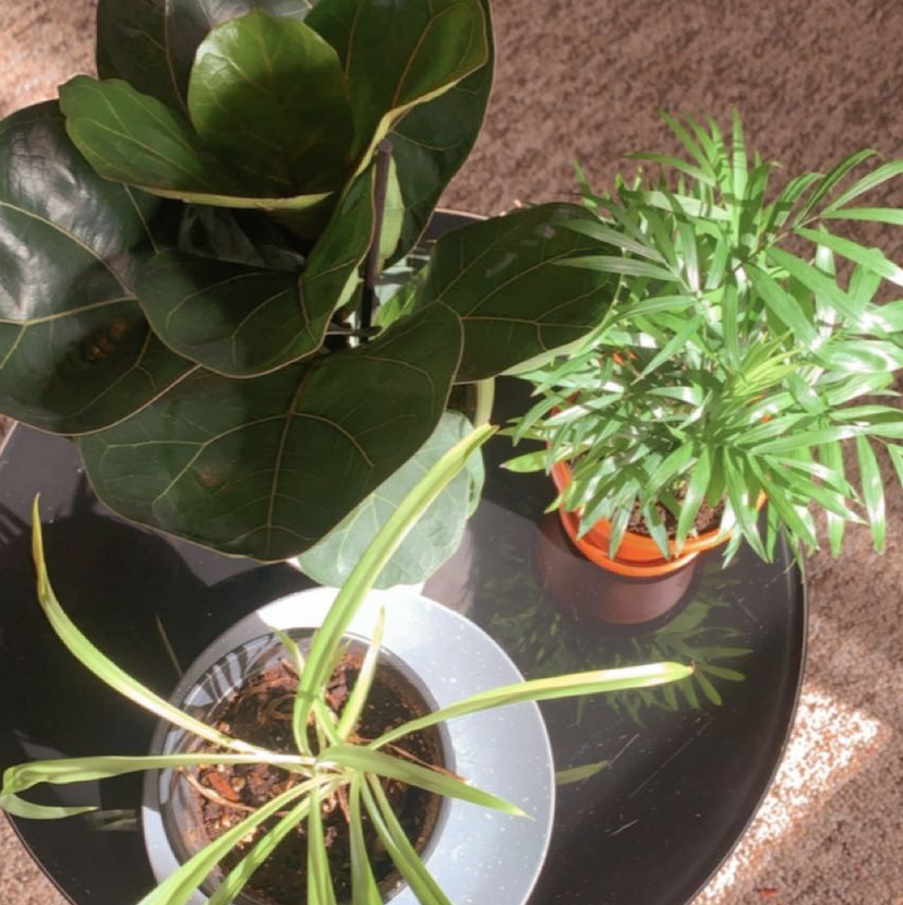 @aporterfield16 avatar