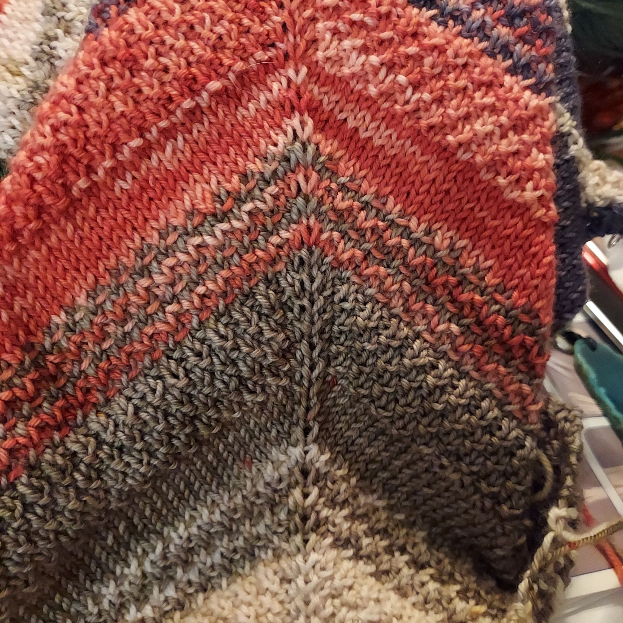 Avatar for @AzuritDragonfly on Greg, the plant care app