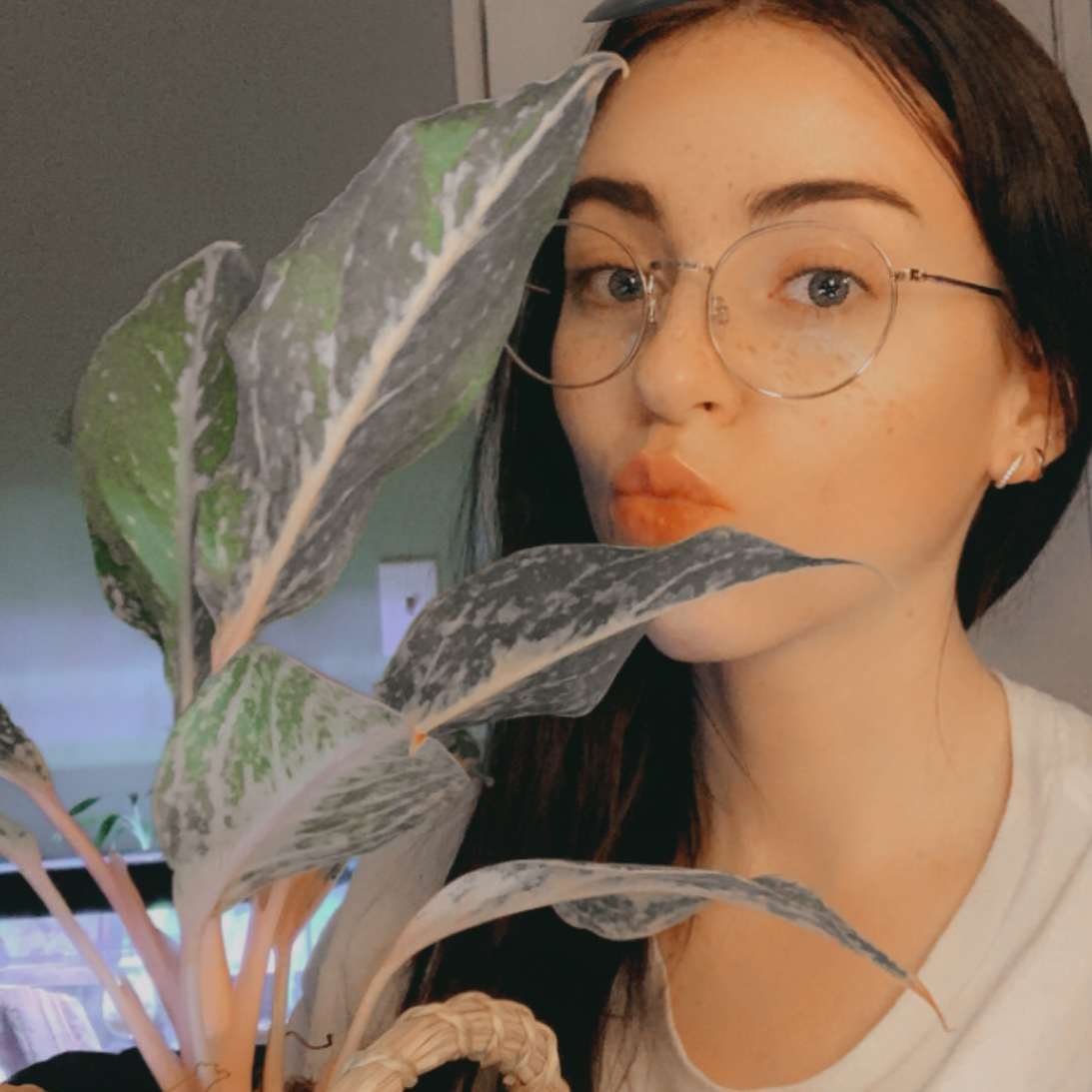 Avatar for @cariyoung on Greg, the plant care app