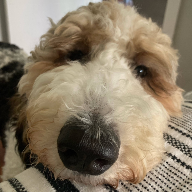 Avatar for @LindaValcarce on Greg, the plant care app