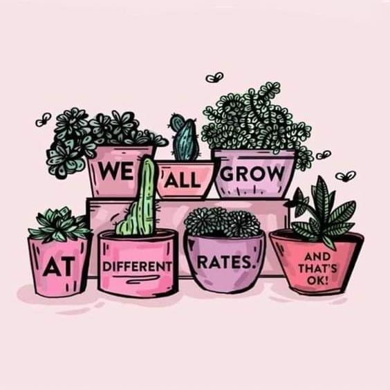 Avatar for @lovecatsplants on Greg, the plant care app