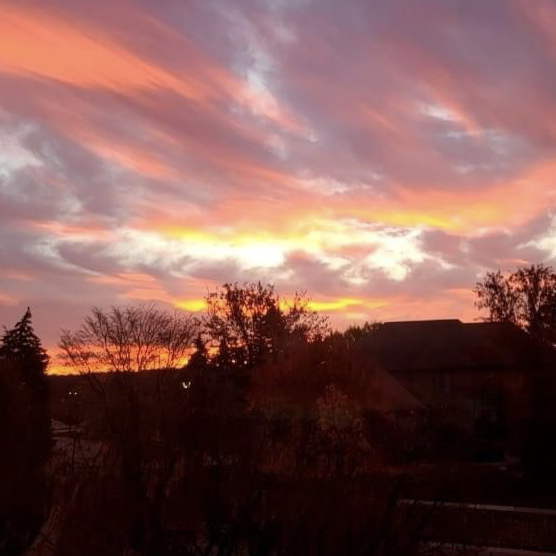 Avatar for @lexie.h36 on Greg, the plant care app