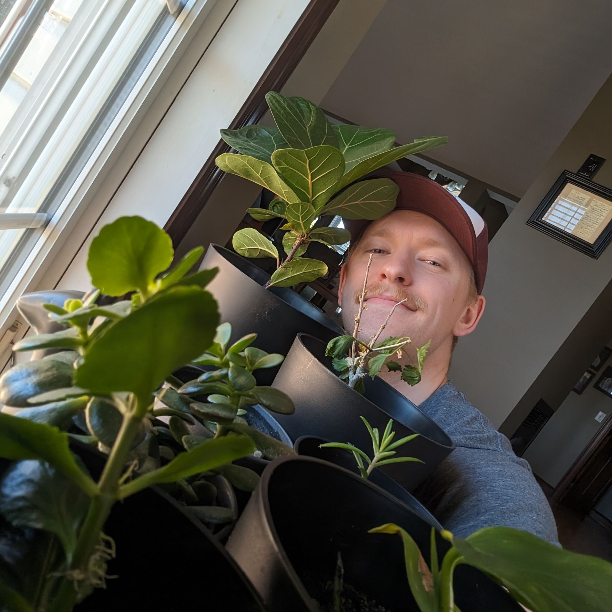 Avatar for @tricky on Greg, the plant care app