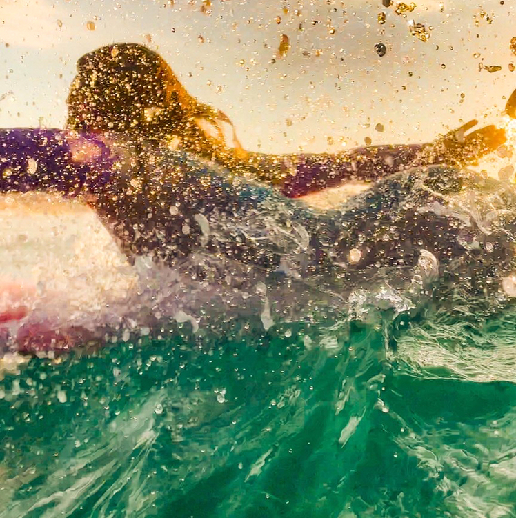 Avatar for @Sisterslater on Greg, the plant care app