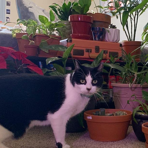 @notgwendolyn avatar