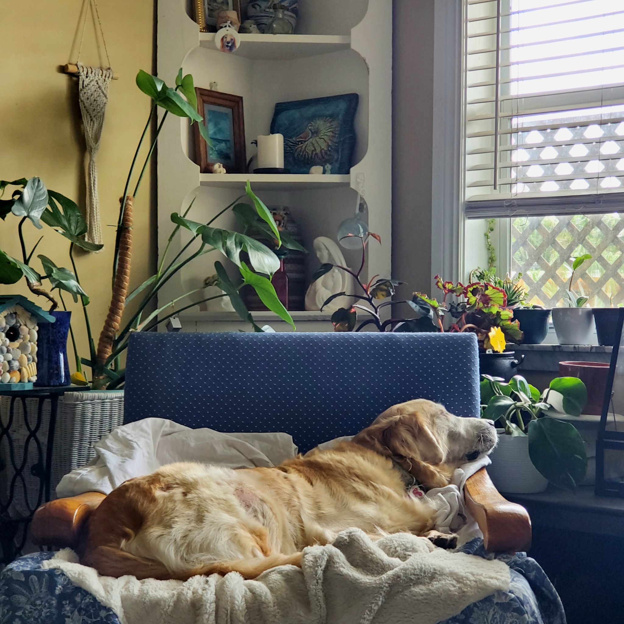 Avatar for @Katiekinns on Greg, the plant care app