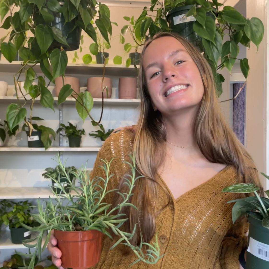 @annakatklein avatar