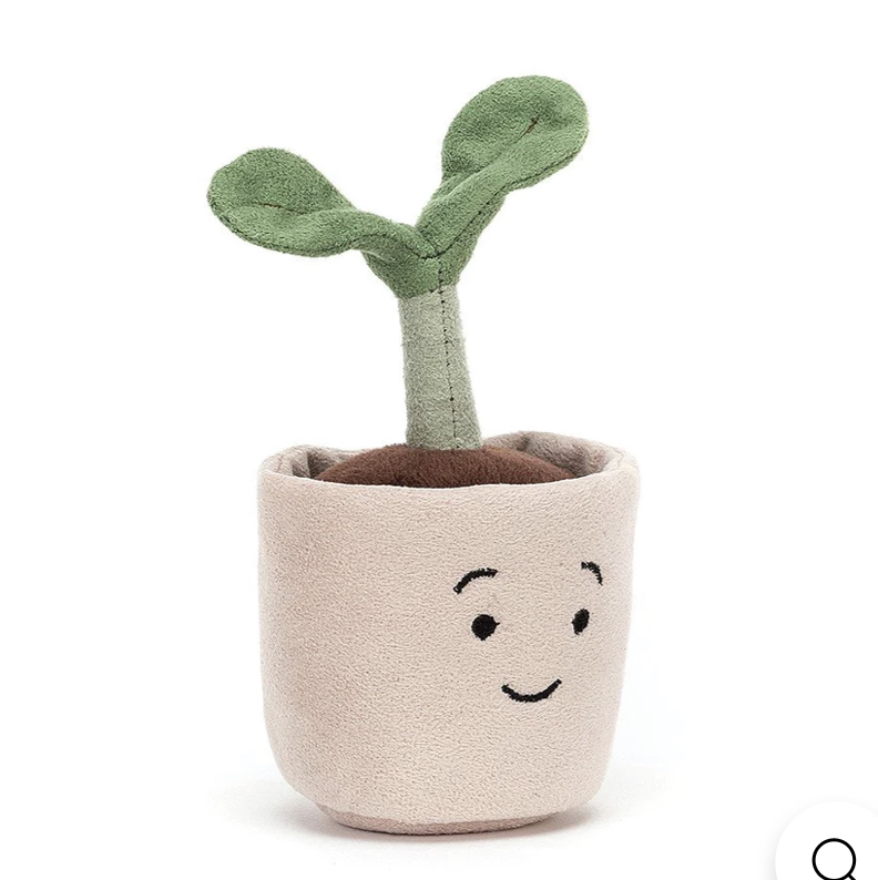 Avatar for @PoshBonsai on Greg, the plant care app