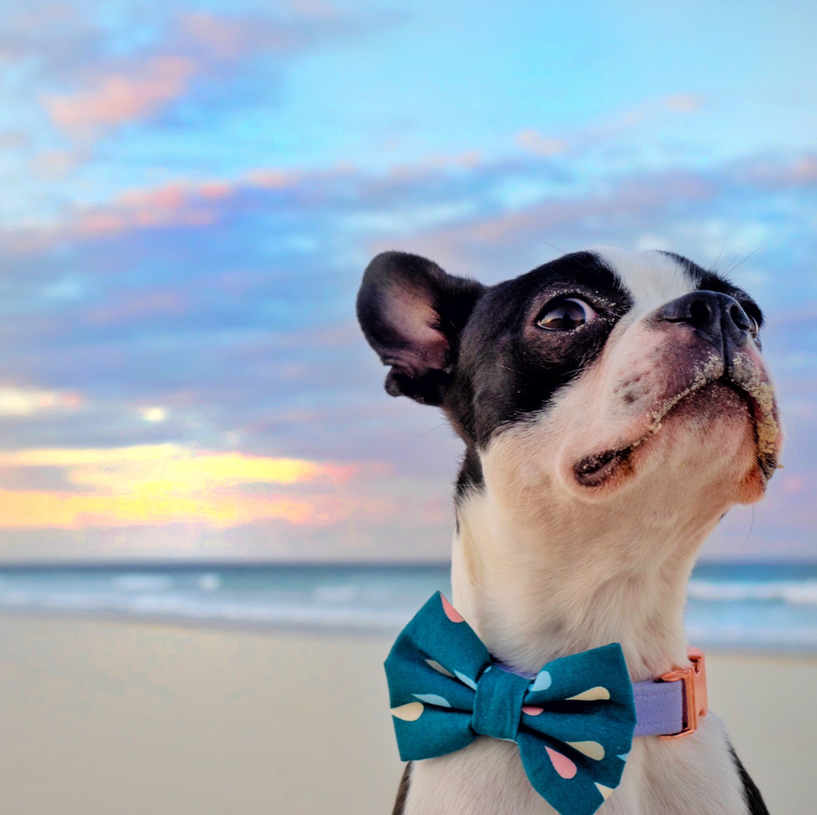 Avatar for @taramichelle on Greg, the plant care app