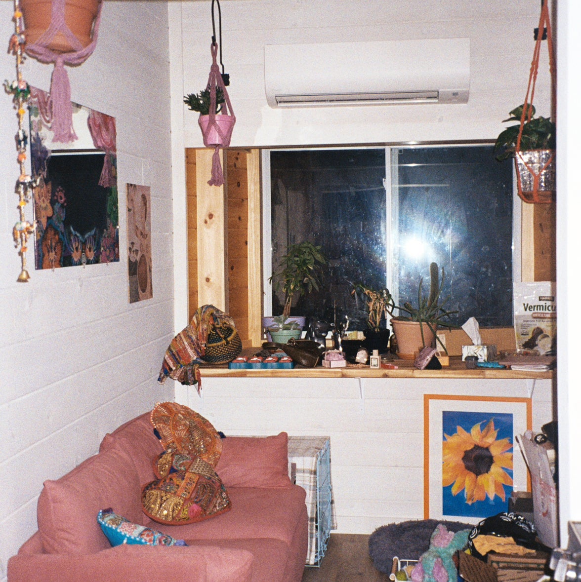 @succlentgardens06 avatar