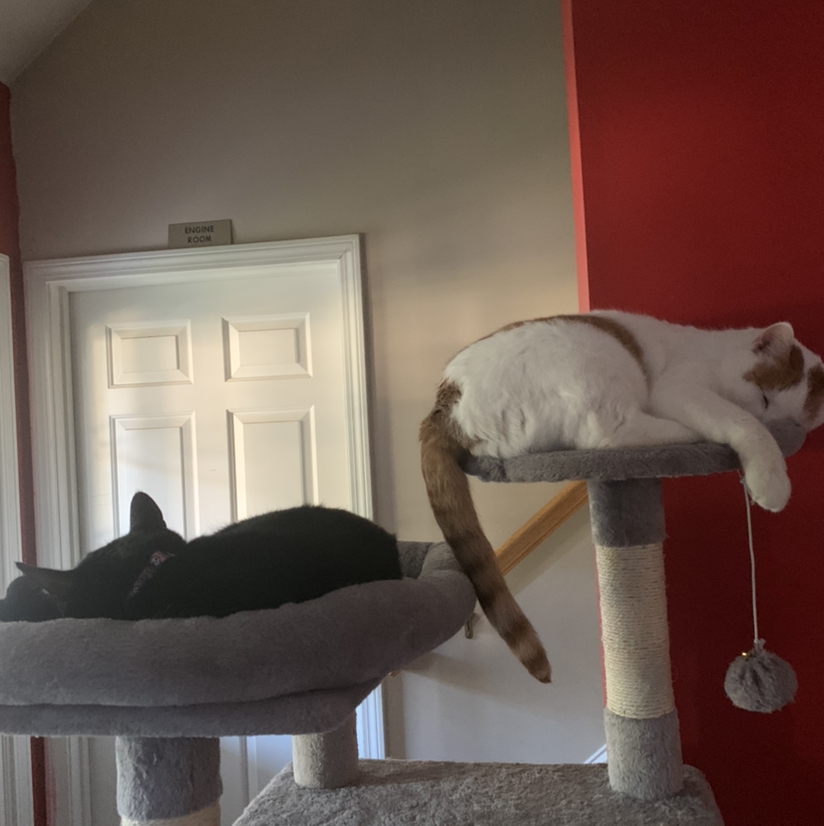 @Katandhercats