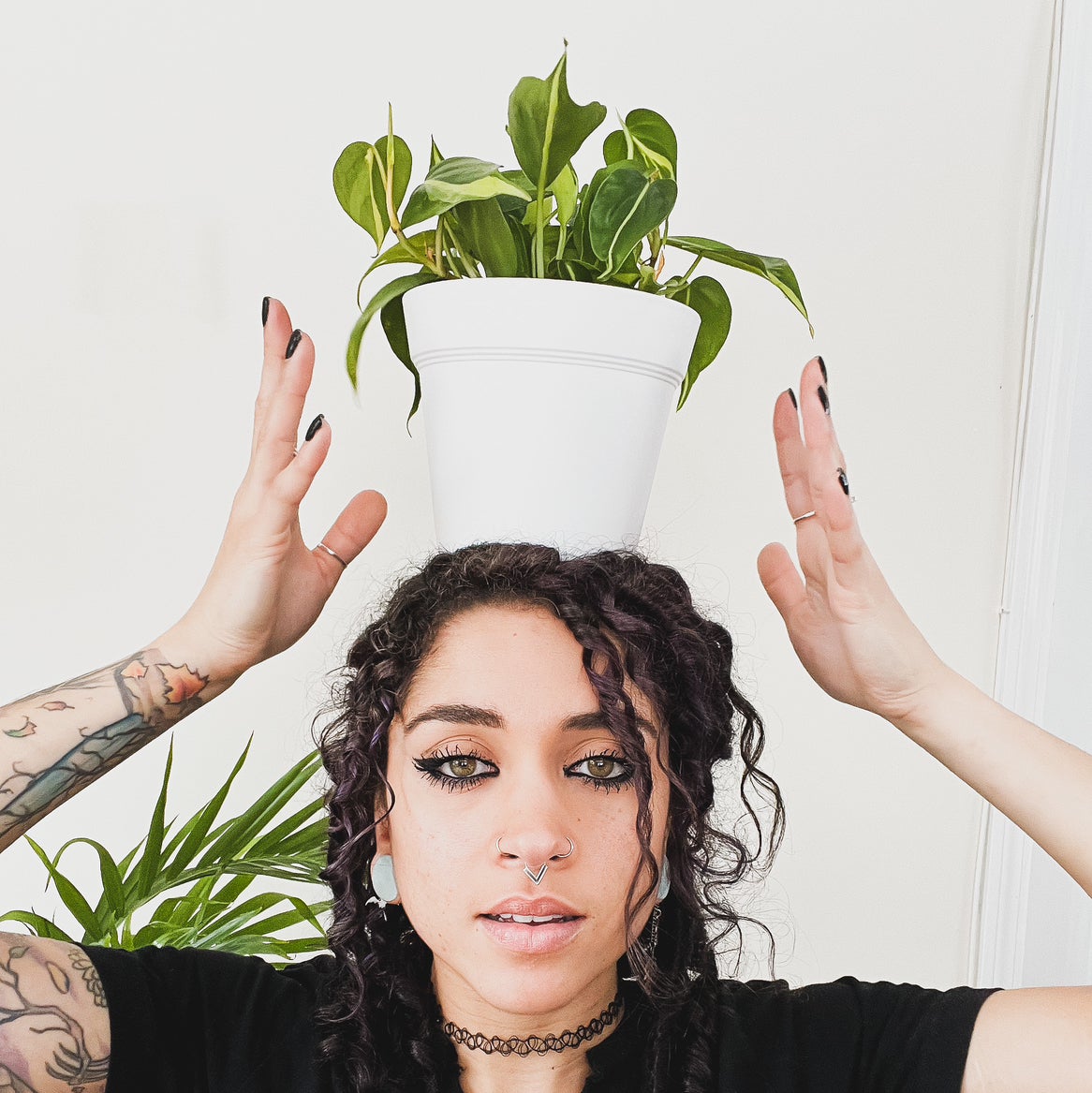 @wildpurplechild avatar