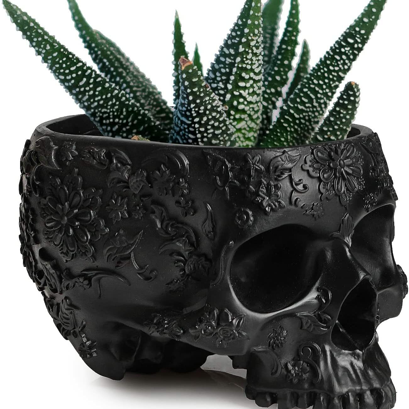 Avatar for @pleasedntdie on Greg, the plant care app