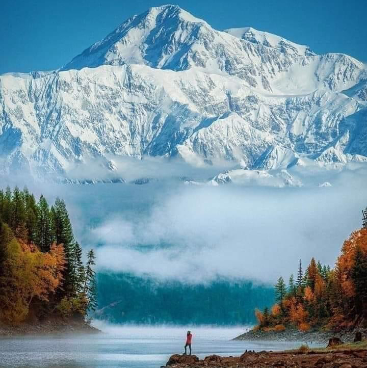 Avatar for @ContentDewberry on Greg, the plant care app