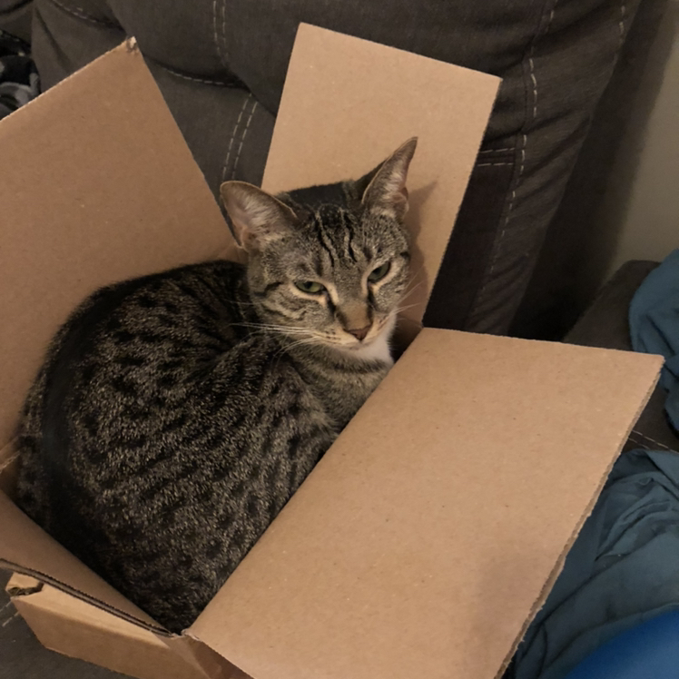 Avatar for @JohnB.succulents on Greg, the plant care app