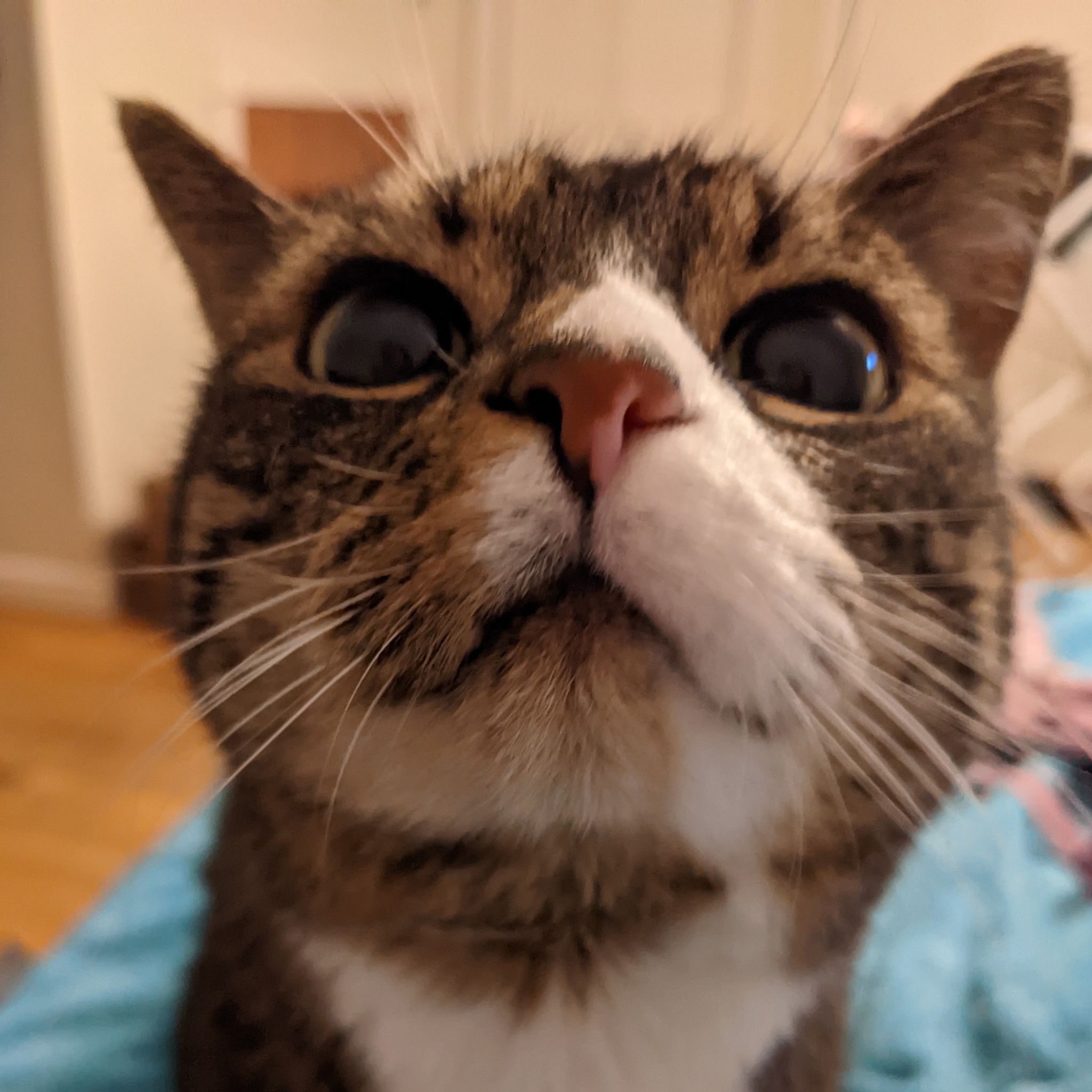 Avatar for @KaraElizabeth on Greg, the plant care app