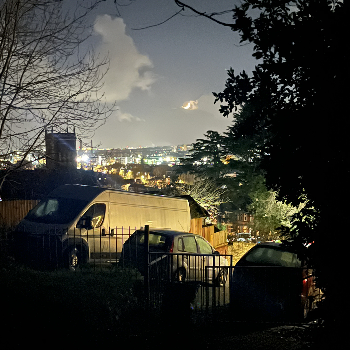 Avatar for @fatsia on Greg, the plant care app