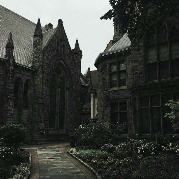 Avatar for @Mia03 on Greg, the plant care app