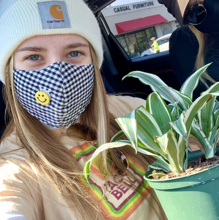 Avatar for @kgd426 on Greg, the plant care app