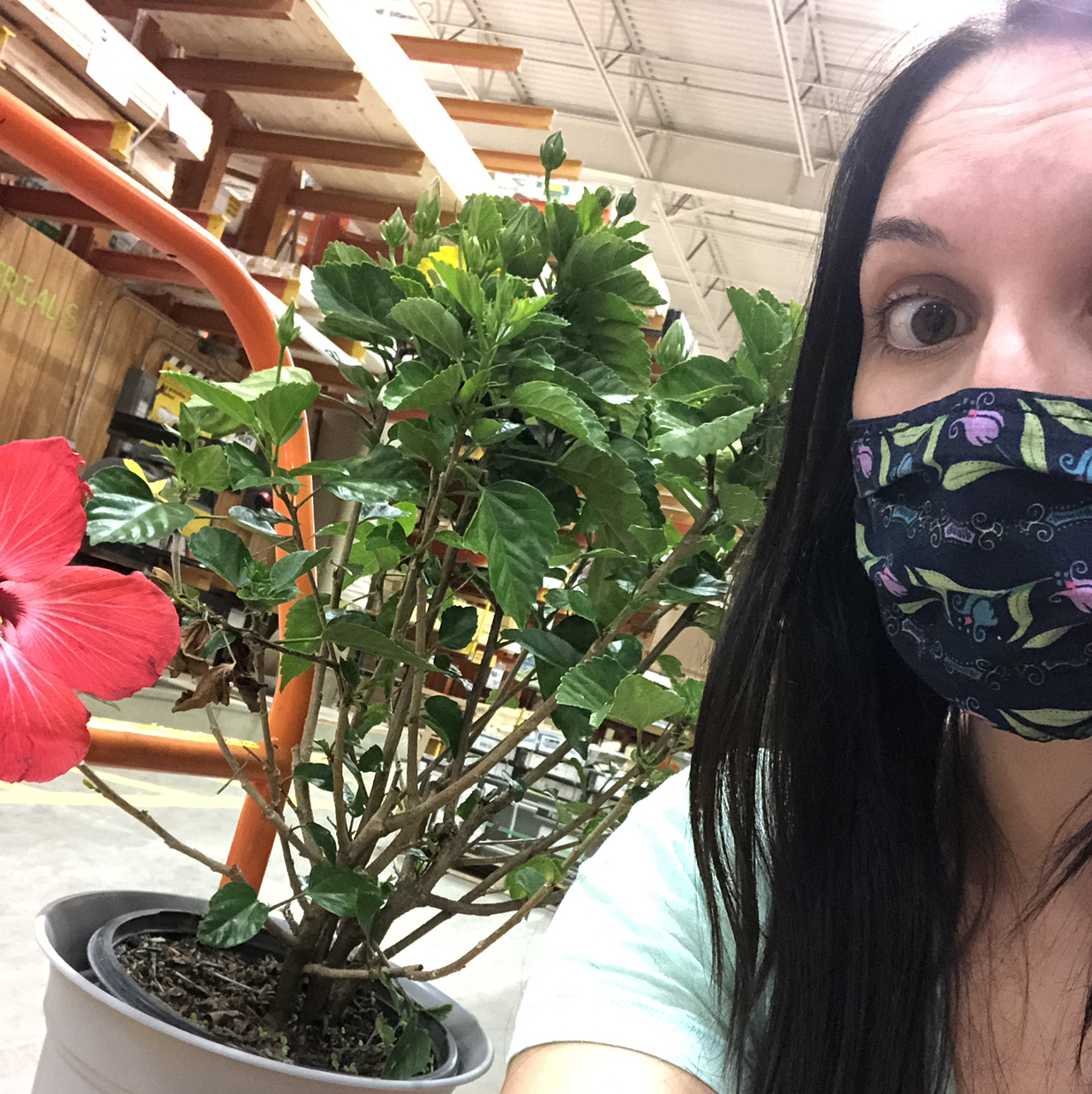 Avatar for @Cassabelle on Greg, the plant care app