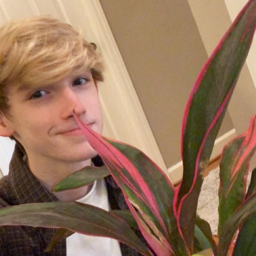 Avatar for @addisoncampbell on Greg, the plant care app