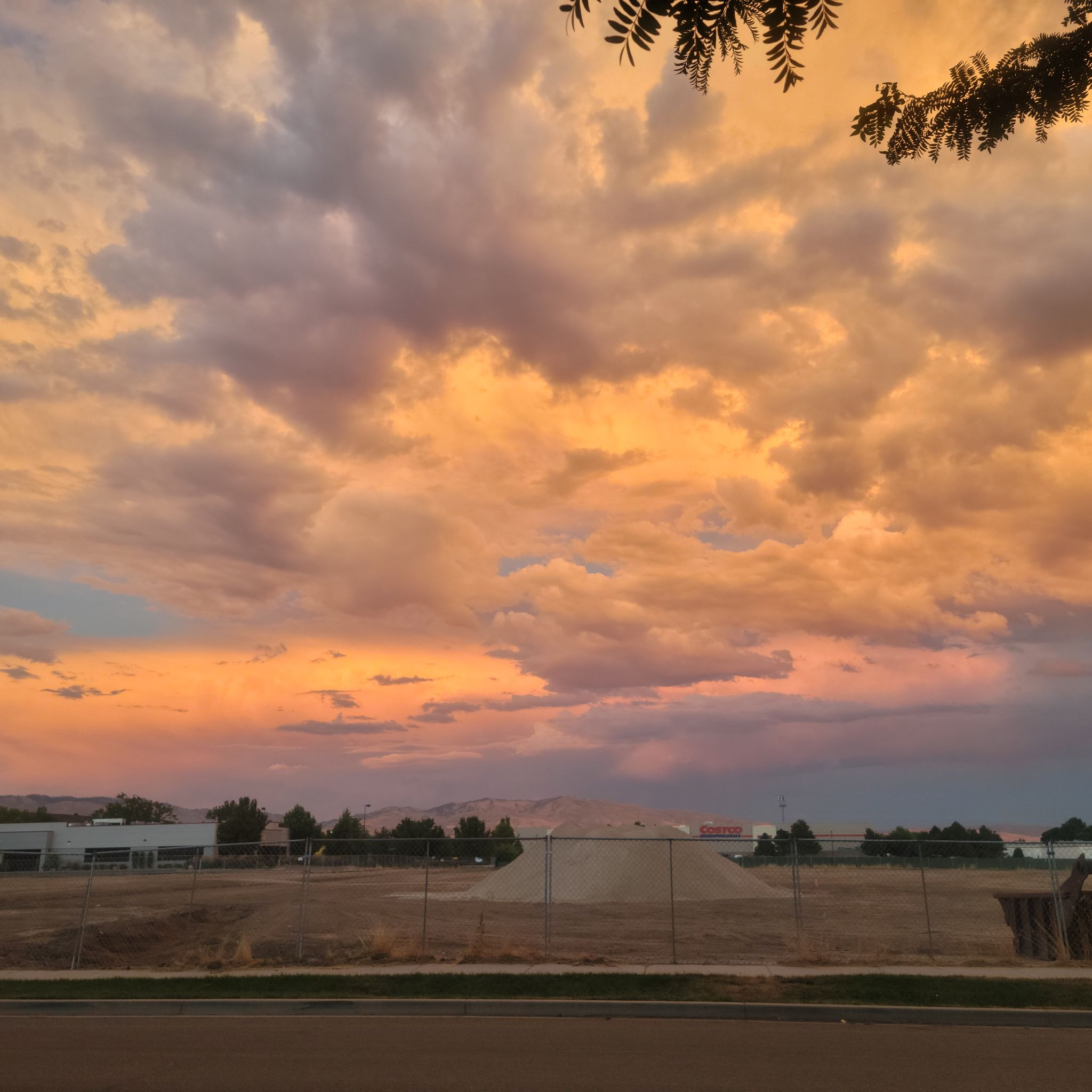 Avatar for @TiredHalfling on Greg, the plant care app