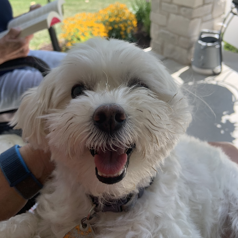 Avatar for @NelliesMama on Greg, the plant care app