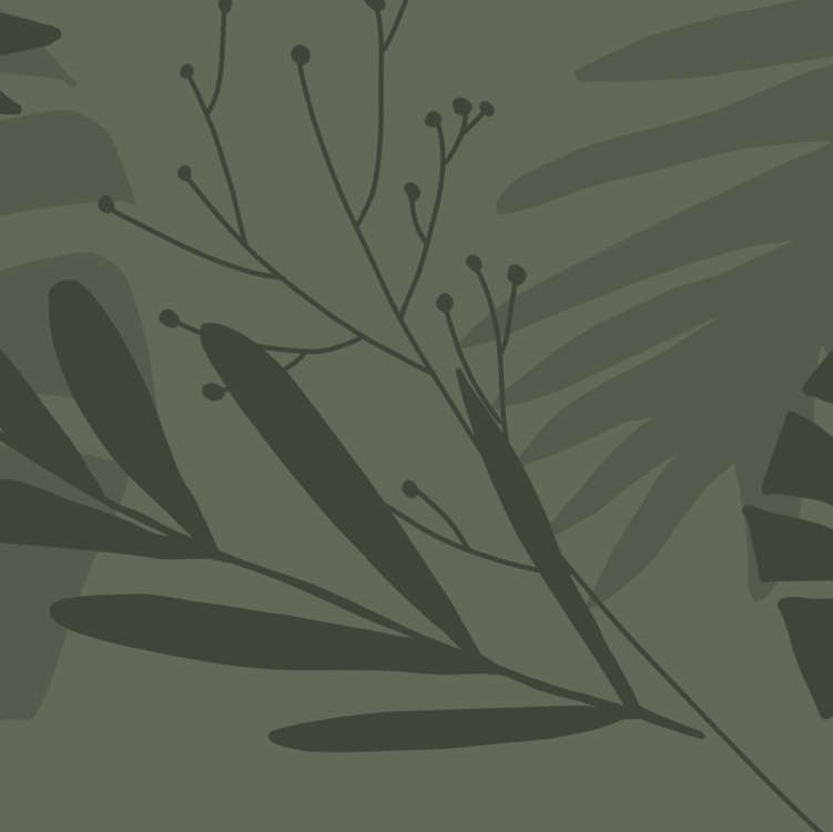 Avatar for @nostalg.iia on Greg, the plant care app