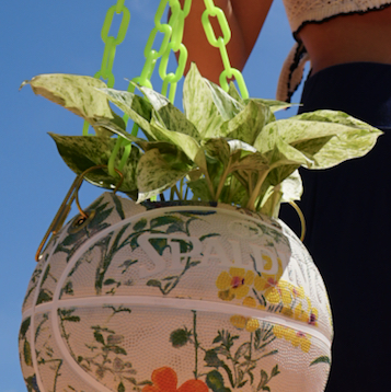 Avatar for Sam on Greg, the plant care app